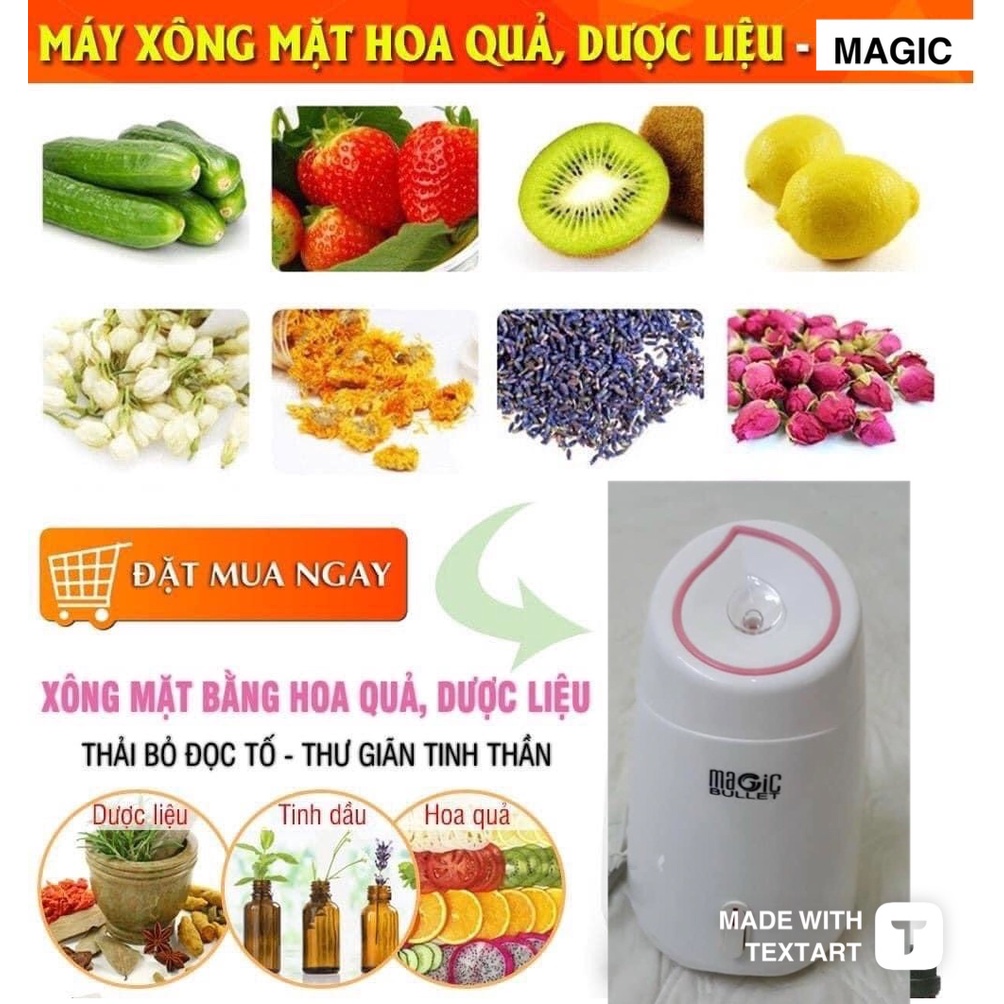 máy xông hơi mặt mini cao cấp, xông hơi hoa quả - xông mũi họng ...