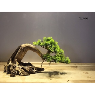 Lũa bonsai cho hồ thủy sinh size nhỏ