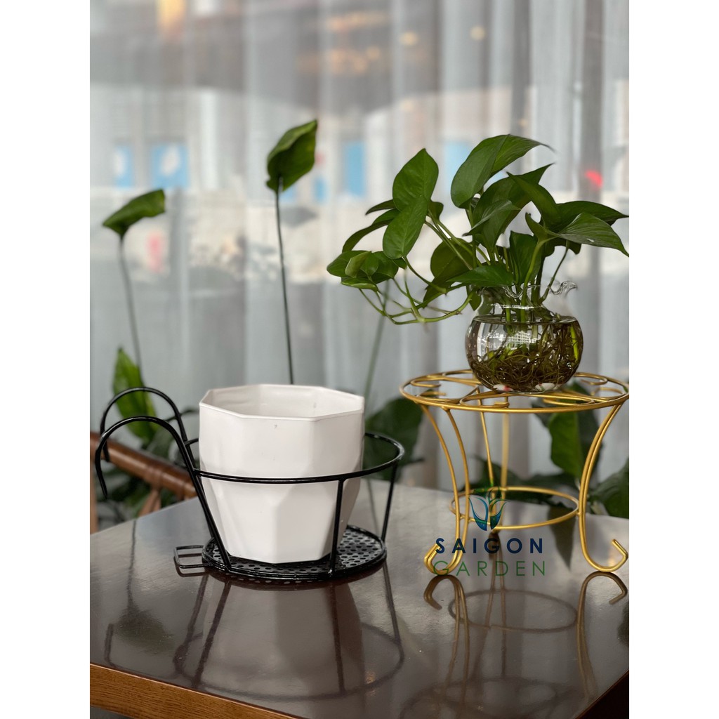 Chân đế kê chậu hoa sắt sơn tĩnh điện cao 22cm