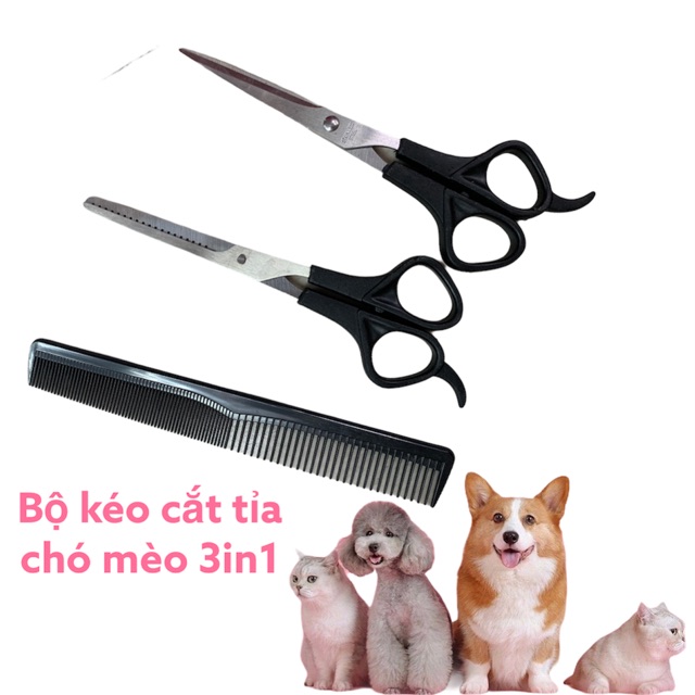 Bộ kéo cắt tỉa lông chó mèo 3 in 1