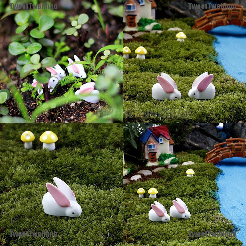 Tượng Thỏ Mini Trang Trí Tiểu Cảnh