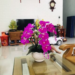 Hoa Lan pha lê