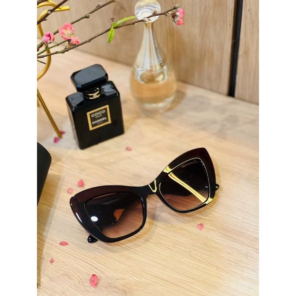 Kính D&G Cat