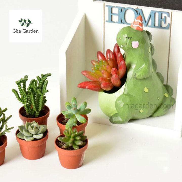 Chậu trồng cây hình thú - khủng long bụng phệ