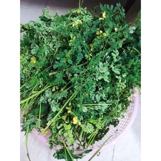Bột rau củ sấy lạnh cho bé (hũ 160g)