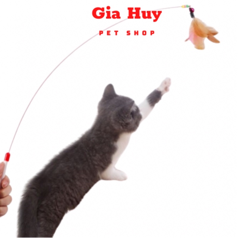 Cần câu mèo lông vũ - Đồ chơi que trêu mèo chất liệu cao cấp siêu bền - Gia Huy Pet Shop