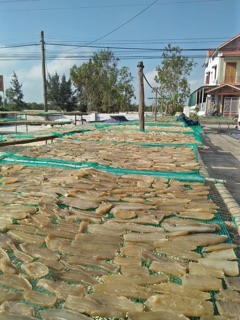 ĐẶC SẢN KHOAI GIEO QUẢNG BÌNH
