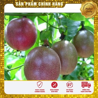 Bộ gói Hạt Giống Chanh Leo