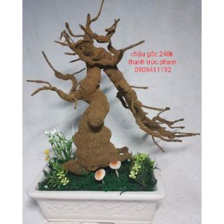 Phụ kiện làm hoa mai