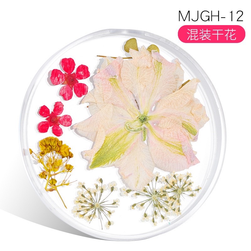 [HANGKIU] HOA KHÔ ẨN GEL SIÊU ĐÁNG YÊU