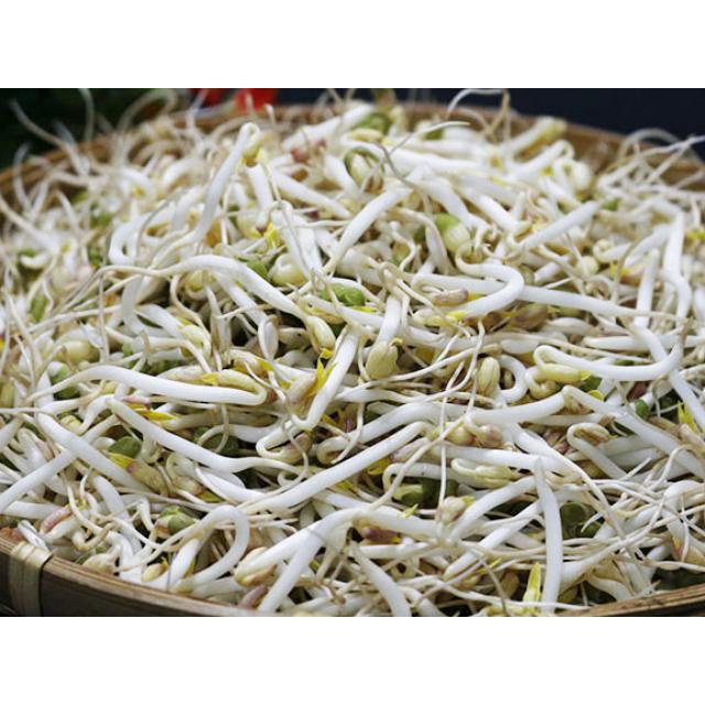 Giá đỗ sạch ngon bổ dưỡng - giao siêu tốc 1h