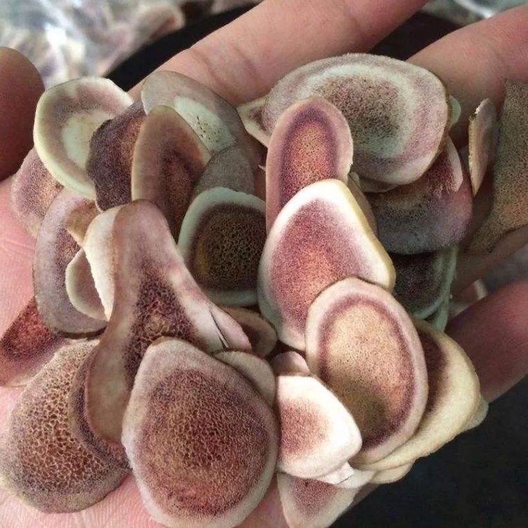 Lộc Nhung khô nguyên chất hàng chuẩn 100 gram.