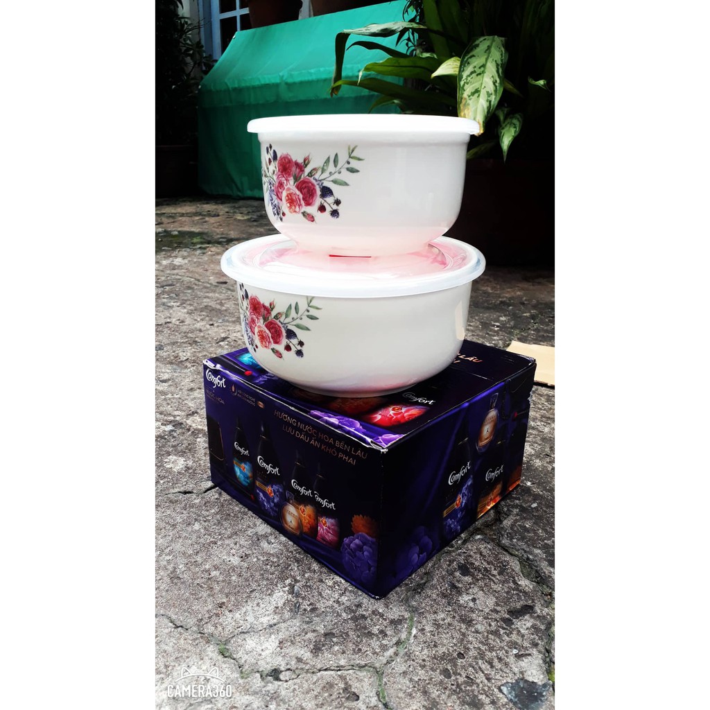 Bộ 2 thố sứ in hoa hồng nắp chân không | BigBuy360 - bigbuy360.vn