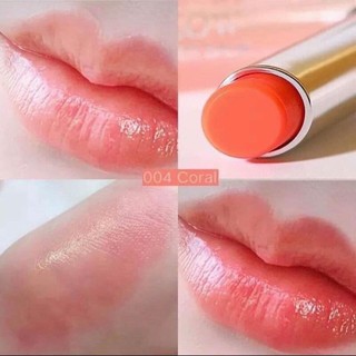 son dưỡng dior 004