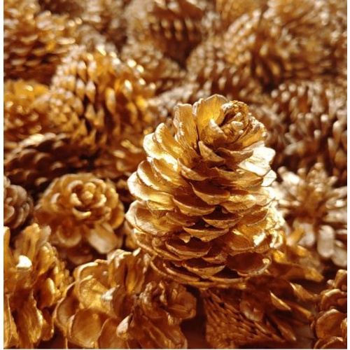 3 Quả thông vàng thông bạc tự nhiên trang trí noel