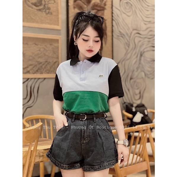 Áo thun cá sấu polo cotton QC hàng cao cấp bán shop, chuẩn hàng xịn đanh mịn mát, fom dưới 57kg