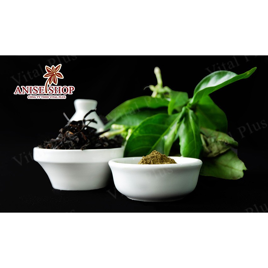 Bột Trà Rang - Hojicha Powder - Vital Plus - Shop Nhà Anise
