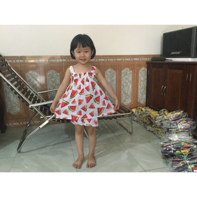 Combo 55 bộ trái cây