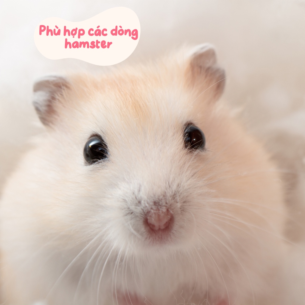 Thức ăn hamster, BẮP DẸP 7 MÀU