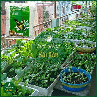 Phân Hữu Cơ Hà Lan FERTIPLUS 500g