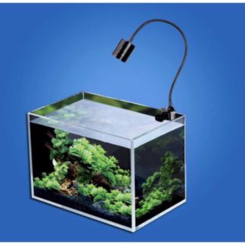 Đèn Led Rọi Cho Cá Cảnh Chân Vít 3 Chế Độ Màu - Phù hợp các bể như biotop,bể cá đĩa,thần tiên,ali đâu bò,cá vàng...