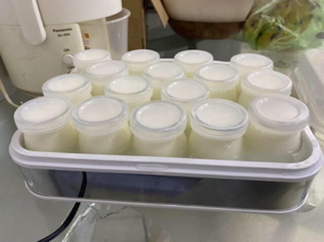 Máy làm sữa chua SIAM 16 cốc thủy tinh máy ủ sữa chua nhanh ổn định an toàn tiện lợi.