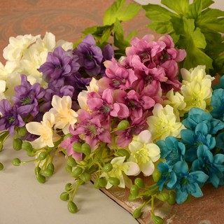 20 HẠT GIỐNG HOA PHI YẾN NHIỀU MÀU