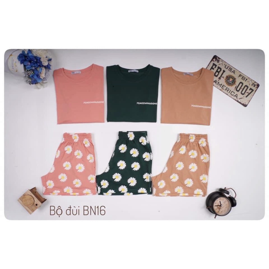 Đồ bộ nữ mặc nhà, đồ ngủ nữ thun cotton quần đùi in hoa 40-75kg ảnh video thật - CT29
