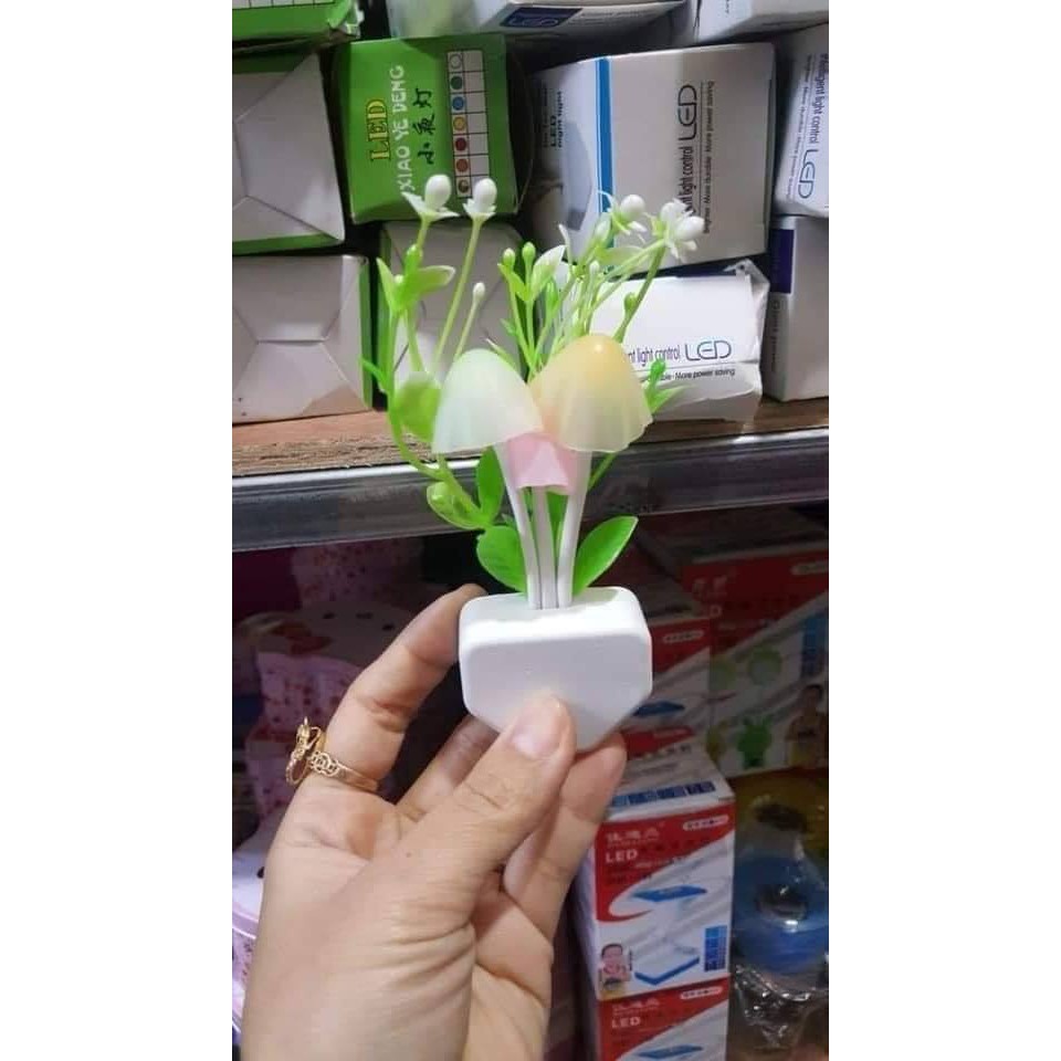 Đèn ngủ cảm ứng hình nấm xinh xắn MH21