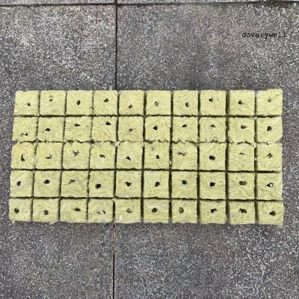 50 Khối Lập Phương Kích Thích Sự Phát Triển Của Thực Vật