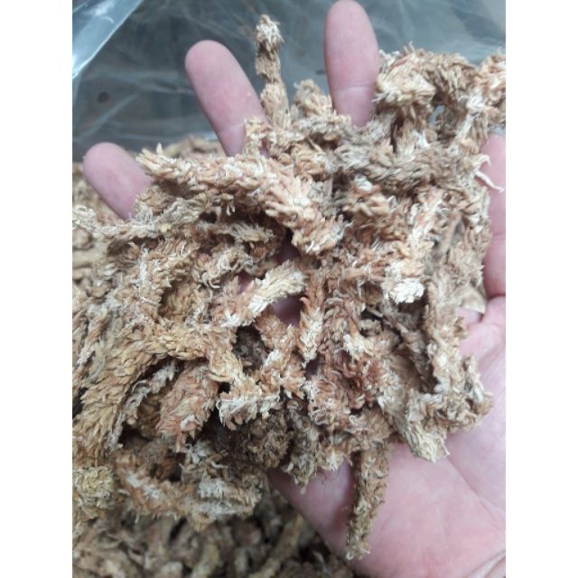 500g rêu sâu Chile làm giá thể cho lan, hồ điệp