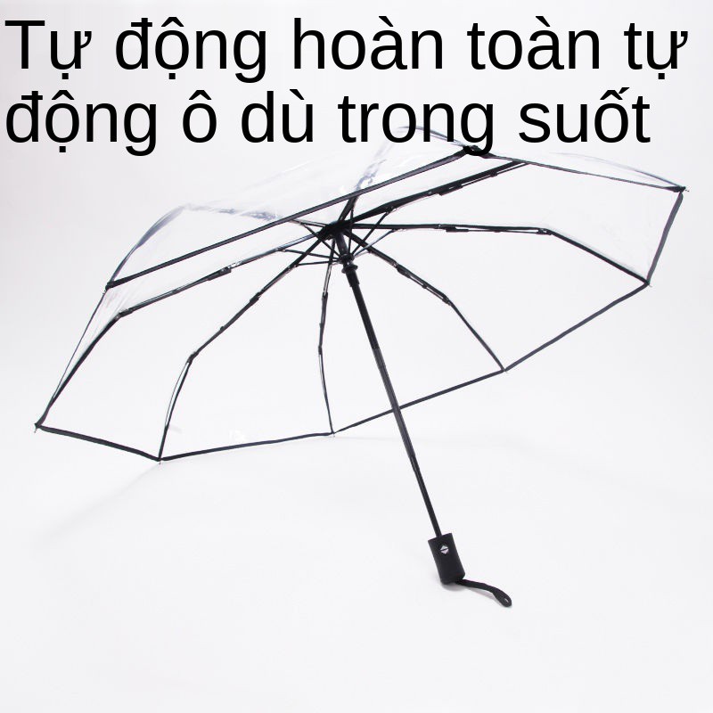 cô gái cầm ô trong suốt Gấp hoa cúc nhỏ lưới màu đỏ tươi Hàn phiên bản to trắng nữ thần tự động