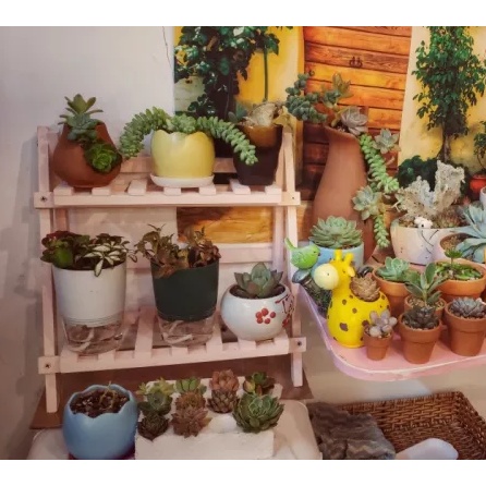 Kệ decor mini để bàn gấp gọn, kệ để chậu hoa, cây cảnh, đựng đồ phụ kiện, mỹ phẩm - chất liệu gỗ thông tự nhiên bền đẹp