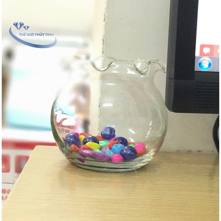 BỂ CÁ THỦY TINH HỒ CÁ CHẬU CÂU MIỆNG BÈO D13CM x 14CM B1