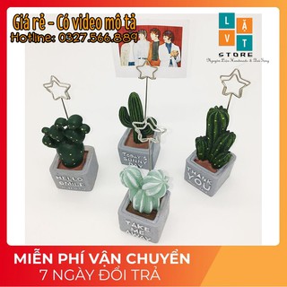 Chậu xương rồng mô hình kẹp ghi chú, hình ảnh, giấy ghi chú dễ thương - Làm từ nhựa đặc chắc chắn