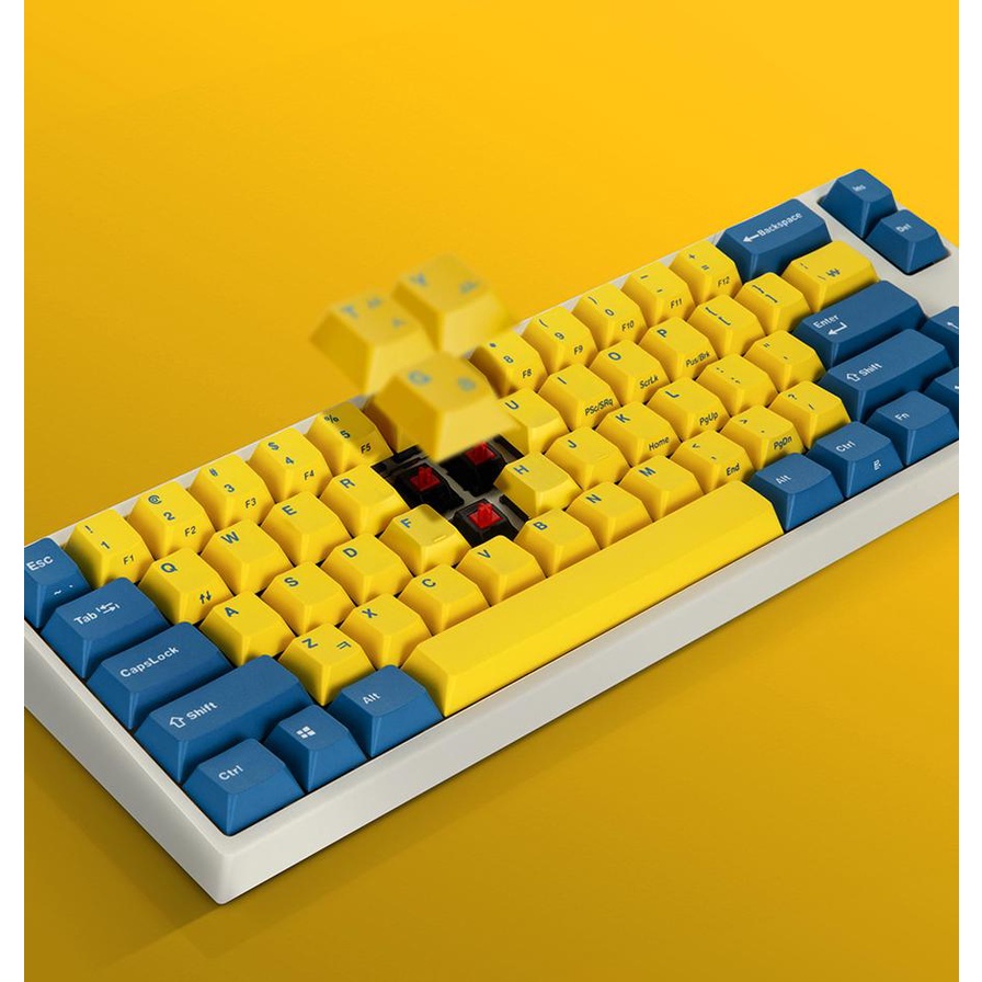 Bàn phím cơ cao cấp không dây Bluetooth Tamia chính hãng blue yellow switch giá rẻ chính hãng Bàn phím cơ Leopold FA1558