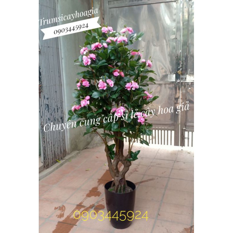 Cây Hồng Trà 1m6 siêu đẹp trang trí Decor-Cây Giả