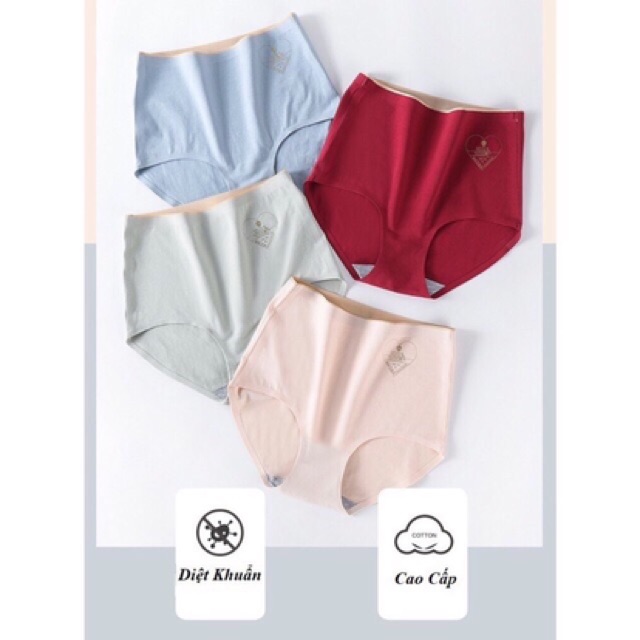 Quần cotton chống viêm nhiễm cạp cao AAA ( có size- được chọn màu )
