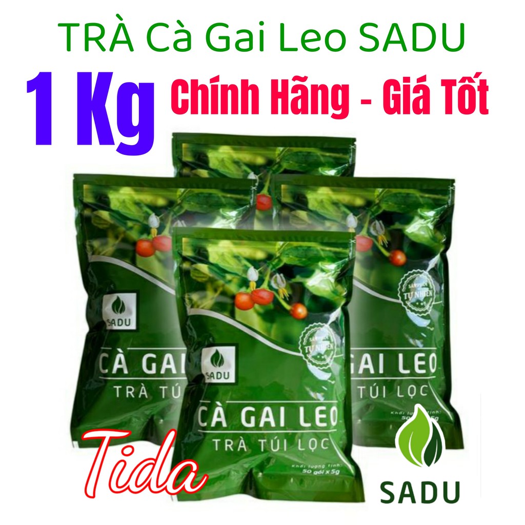 Trà Túi Lọc Cà Gai Leo SADU (1 Kg)