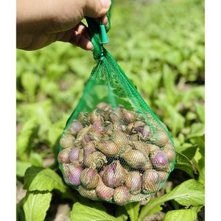 [1 Kg] CỦ HÀNH HƯƠNG ĐẶC SẢN BÌNH ĐỊNH