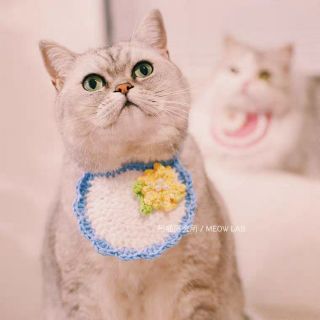 Yếm len handmade cho các pet cưng