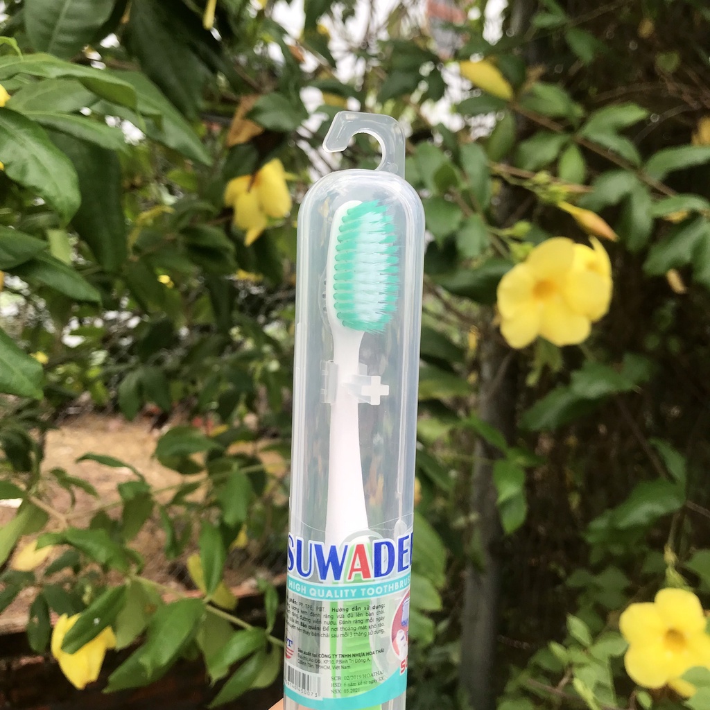 Hộp 30 Chiếc Bàn Chải Đánh Răng SUNREE Thái Lan Hộp Có Móc Treo Nhiều Màu