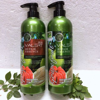 Cặp dầu gội + xả bưởi Phục Hồi Hư Tổn Grapefruit 850ml