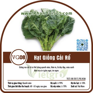 Bộ 2 gói Hạt Giống Cải Rổ Vietgro VG08 (Gói 15gr)