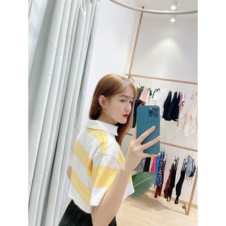 Áo polo Croptop sơ mi
