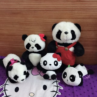 Set gấu c thanh giang