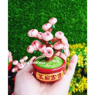 Chậu cây quả chibi dễ thương 10cm