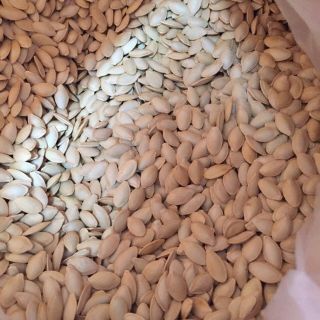 *FRESHIP 99K * HẠT BÍ RANG MUỐI 1KG