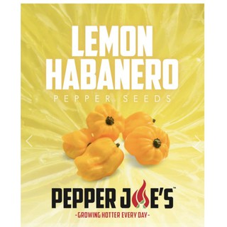 5 hạt ớt HABANERO VÀNG ( LEMON HABANERO)