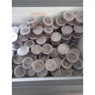 THỊT ĐẦU TÔM SÚ GẠCH 500 GR